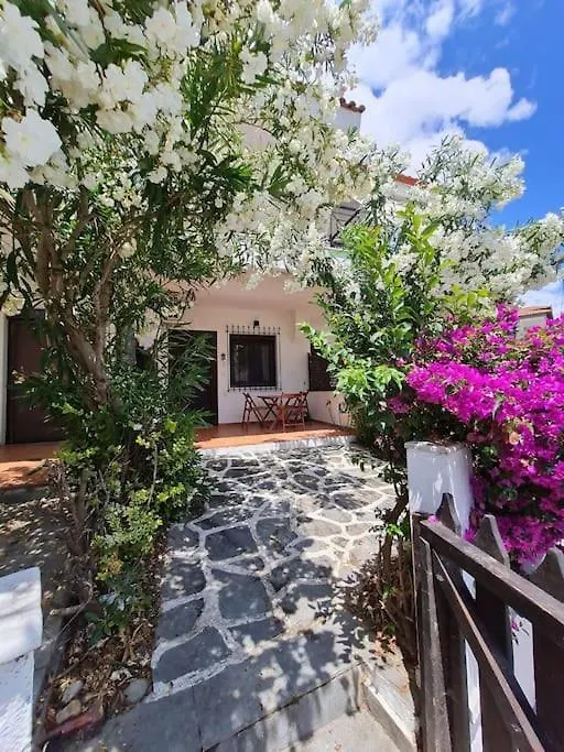 Cozy Apartment 'Casa Despoina' At The Beach Nikiti   Nikiti (Sithonia)